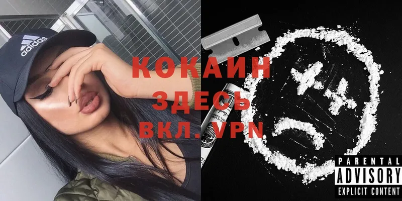 COCAIN VHQ  Димитровград 